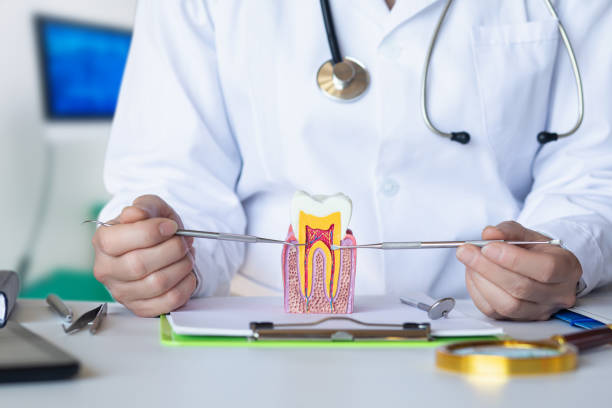 Best Emergency Tooth Extraction  in St John, IN